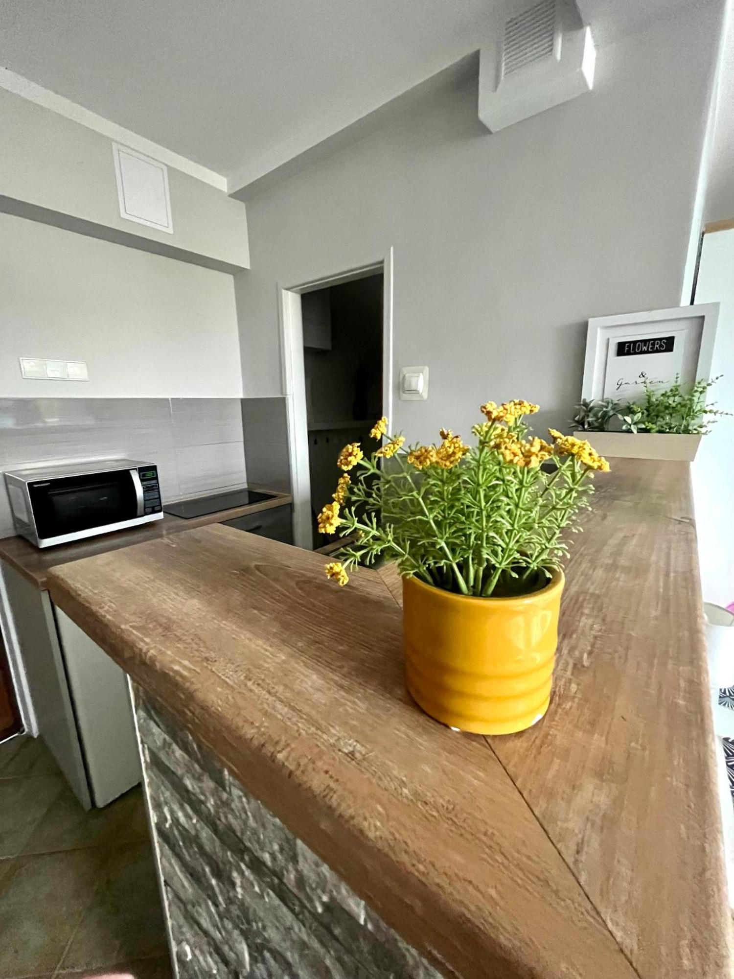 Apartament Sloneczny Свиноуйсьце Экстерьер фото